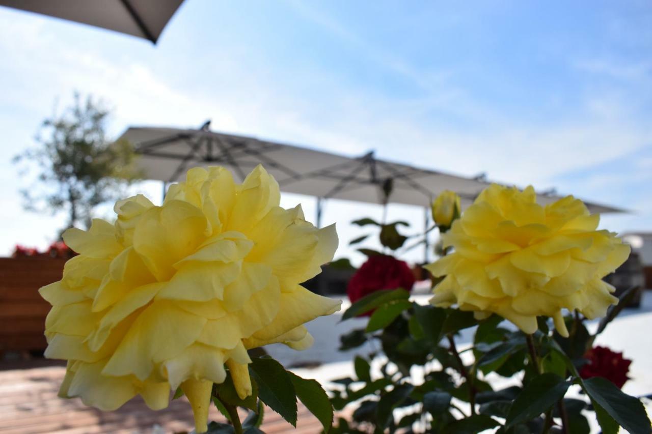 Chateau Linza Resort Тирана Экстерьер фото